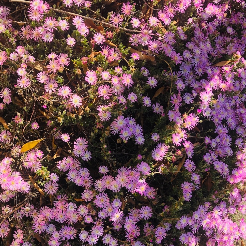 We are open to offers!❤️😊